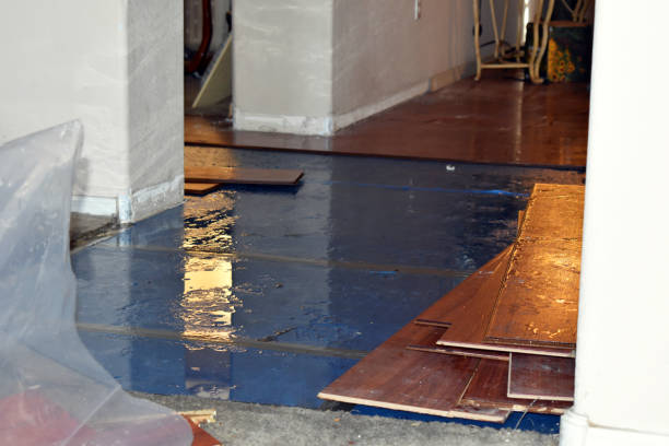 Professional Water Damage technician working in Caledonia, IL